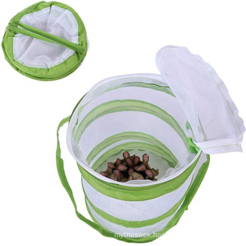 Original Habitat And Live Cup Of Caterpillars With Stem Butterfly Journal Life Science & Stem Education Butterfly Kit
